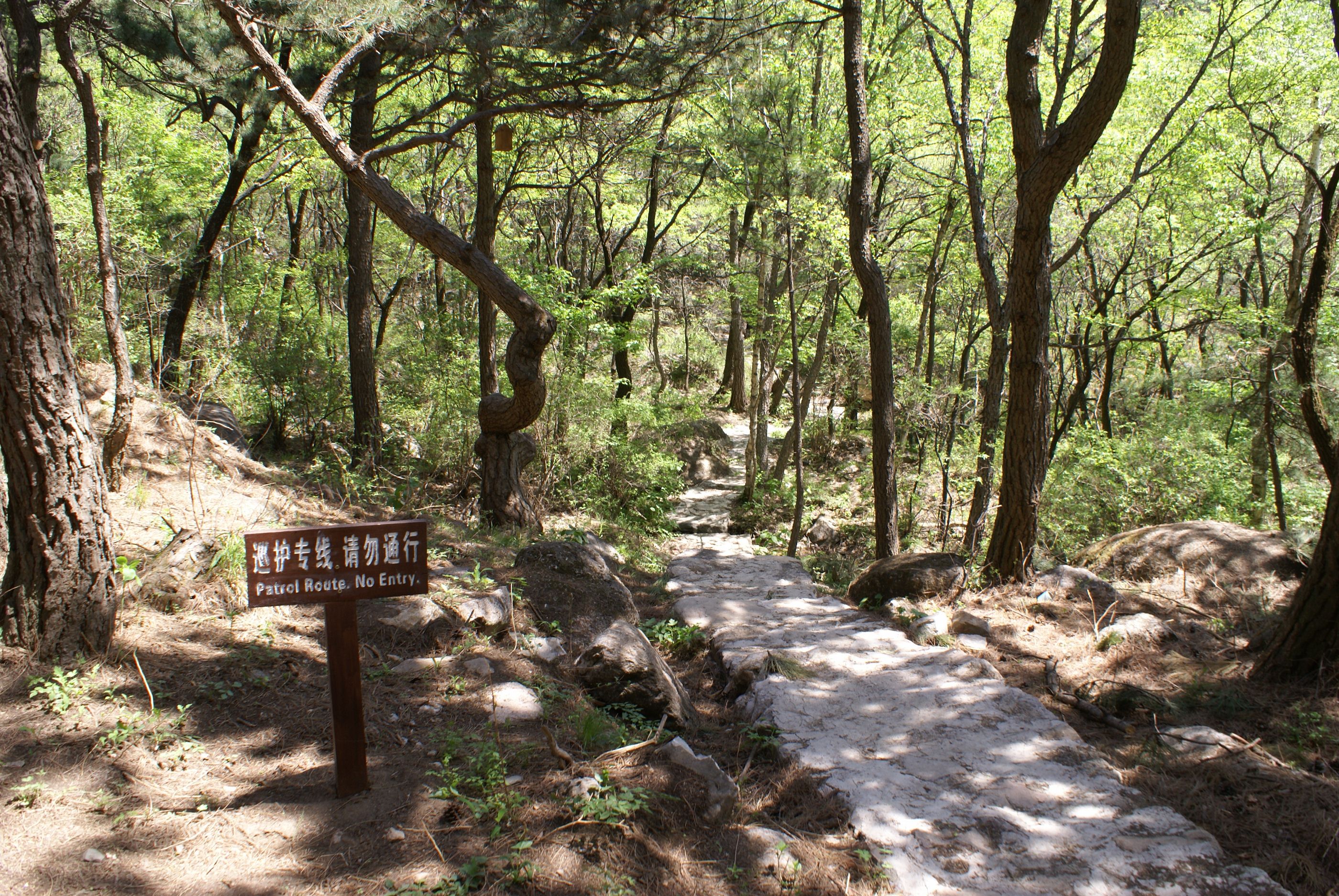 松山森林旅游区