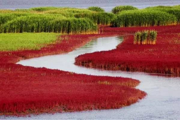 红海滩旅游攻略