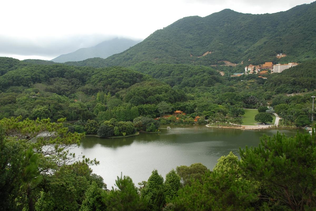 深圳仙湖植物园门票