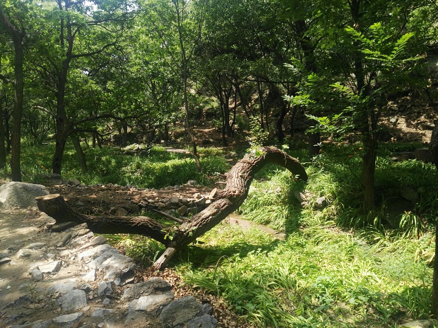 红螺慧缘谷生态景区