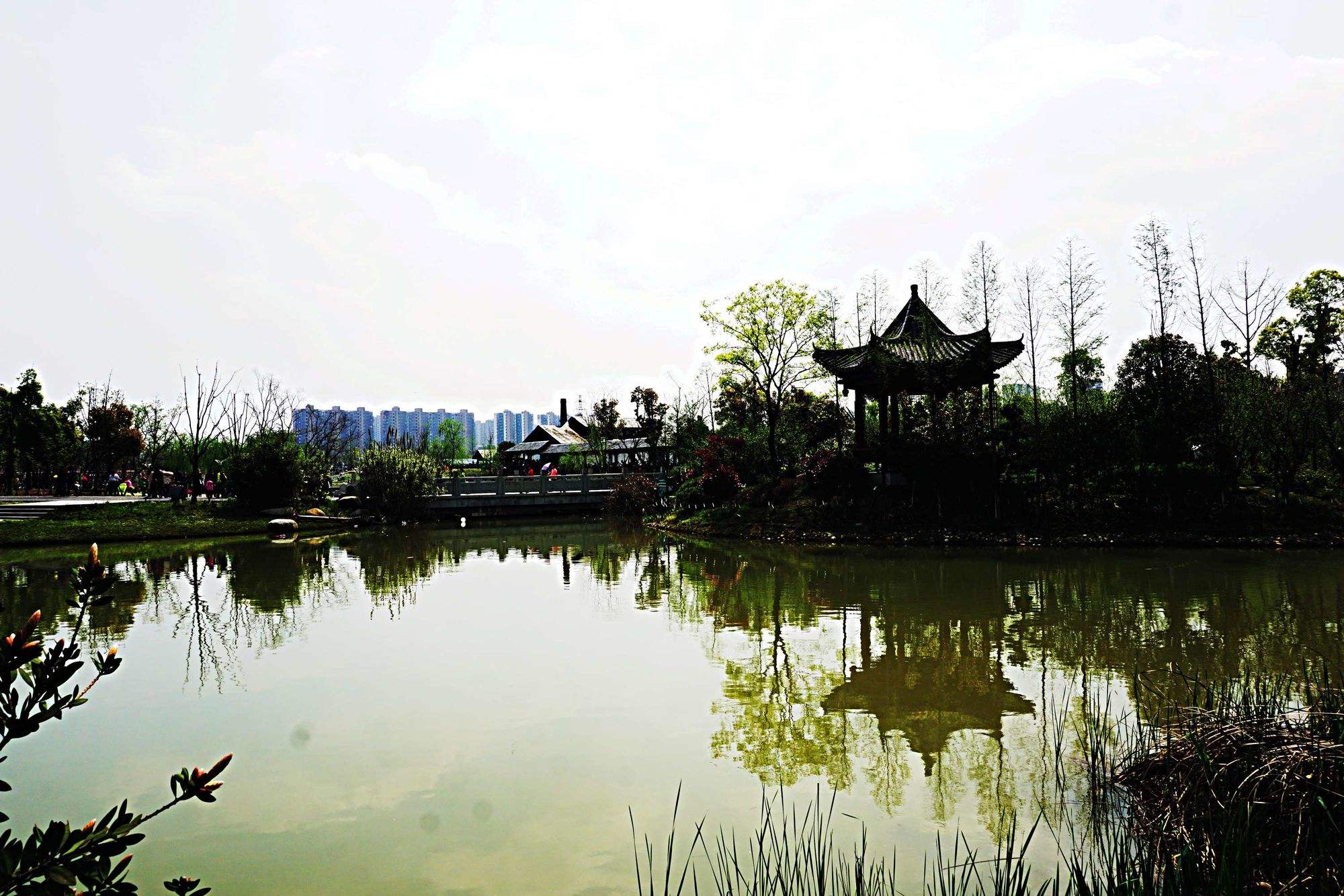 八大山人梅湖景区