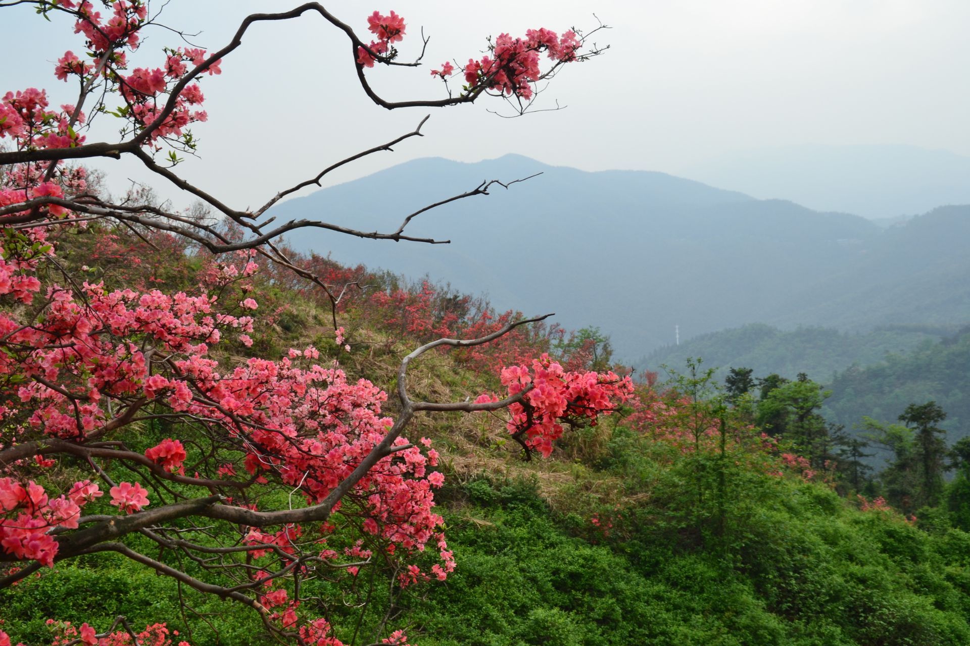 梅岭旅游攻略