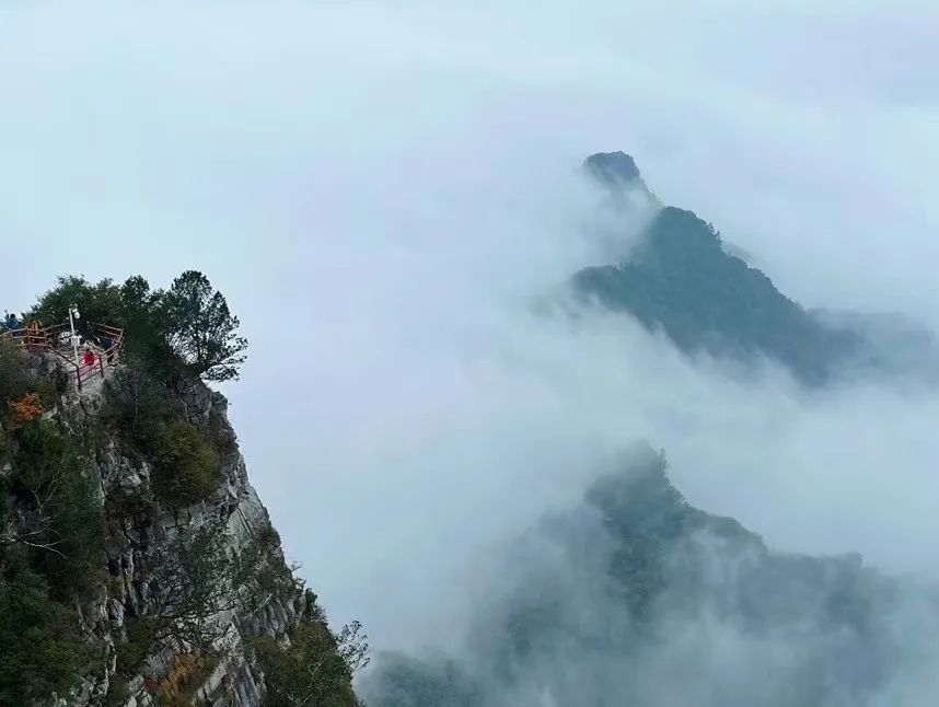 神农山景色区