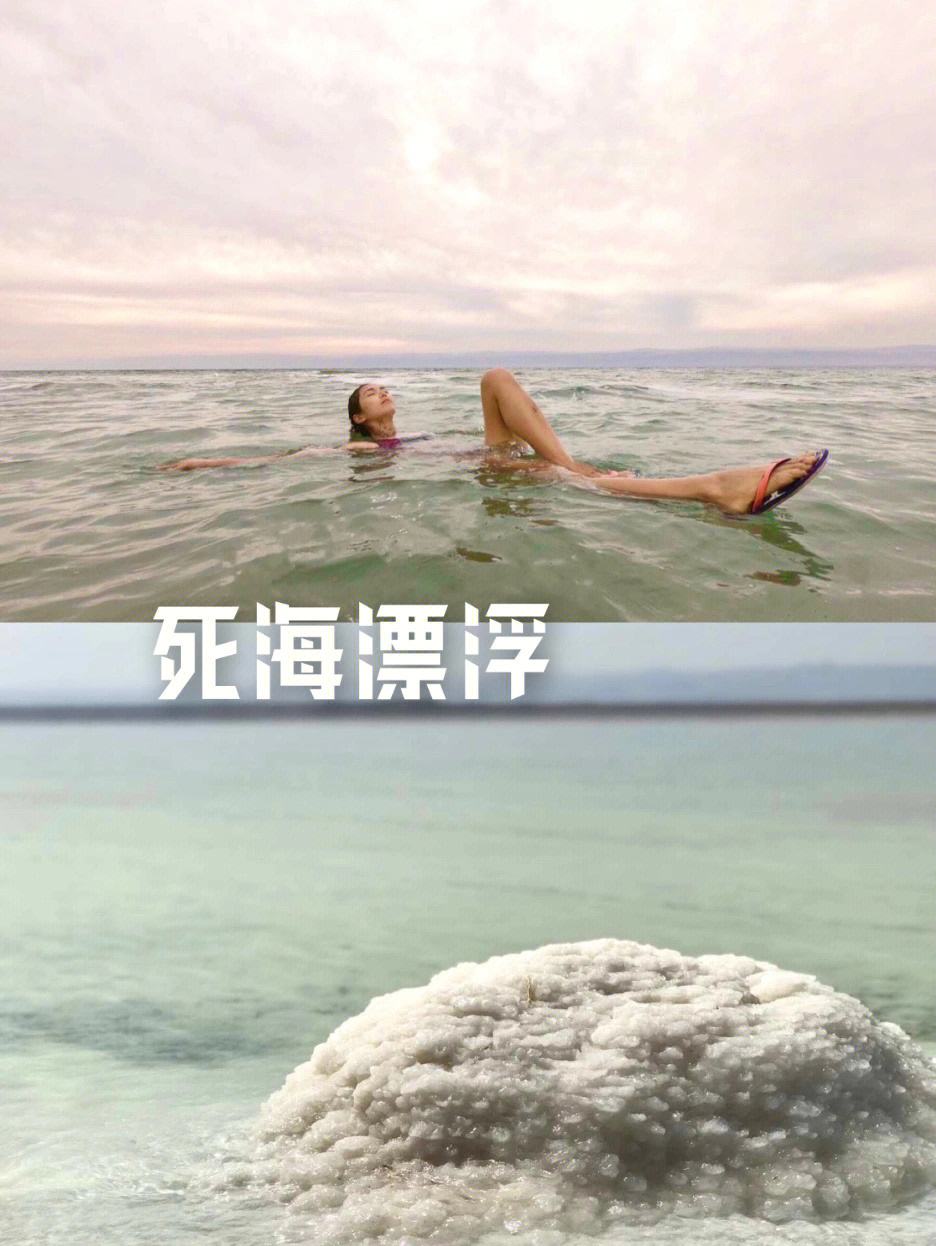 死海门票