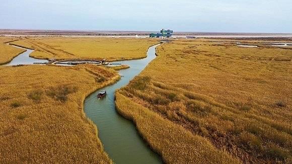 黄河口生态旅游区