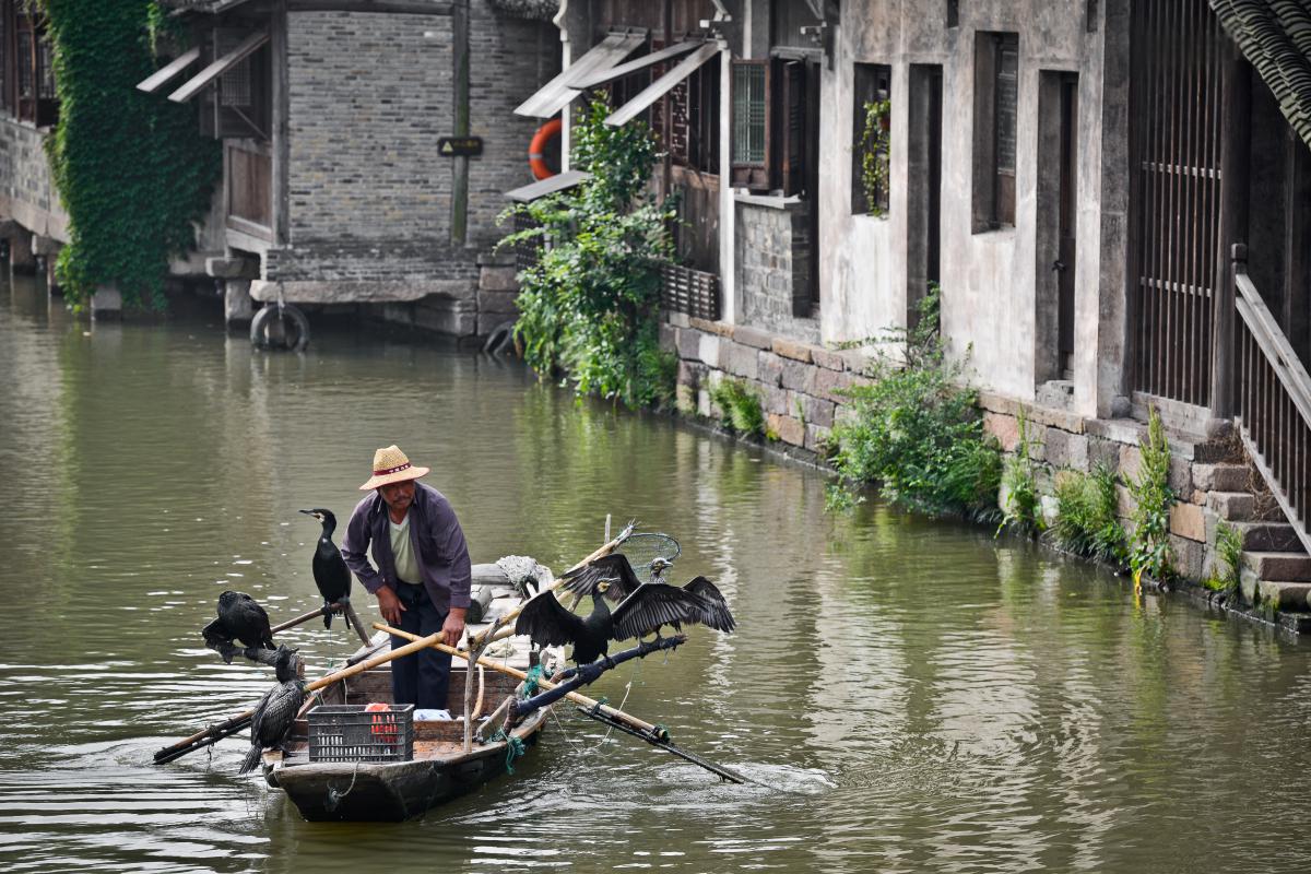 嘉兴乌镇旅游攻略