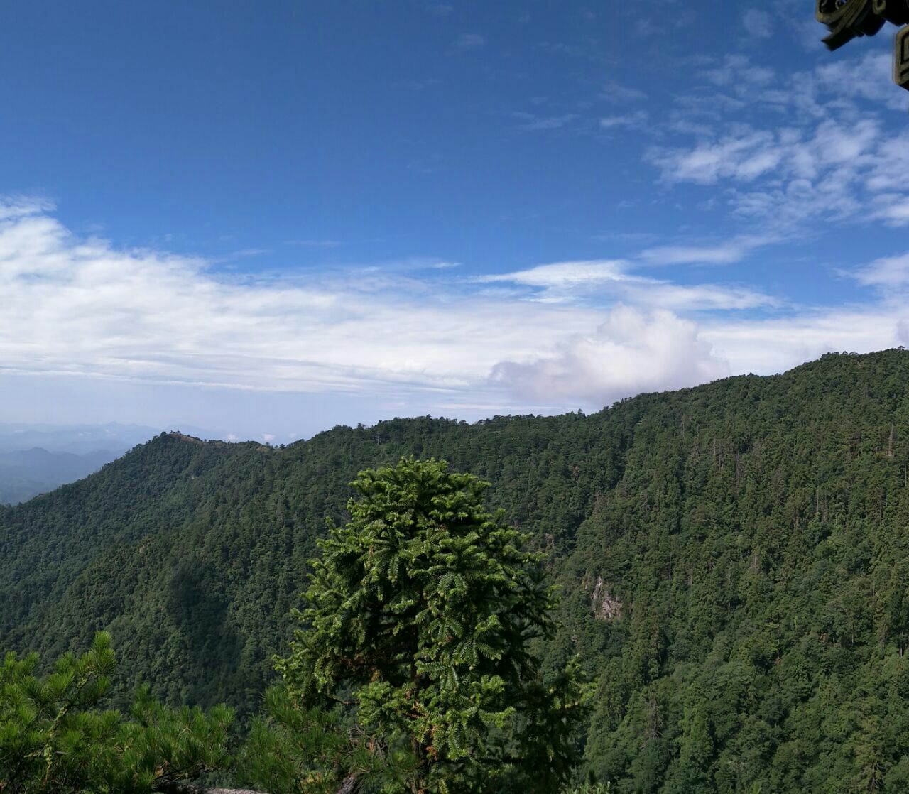 天目山旅游攻略