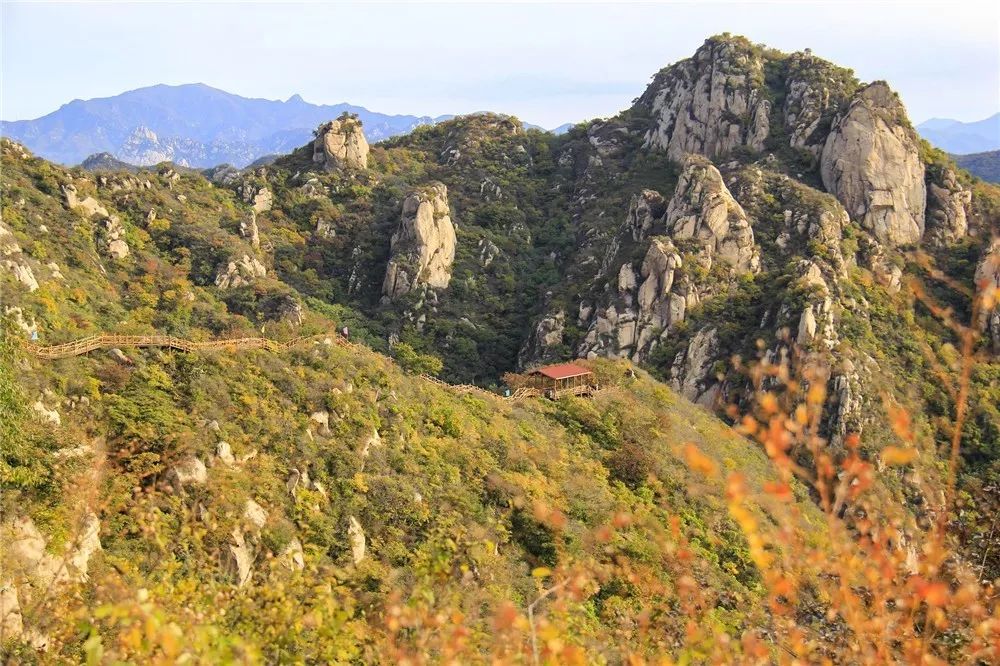 大岭沟猕猴桃谷风光区