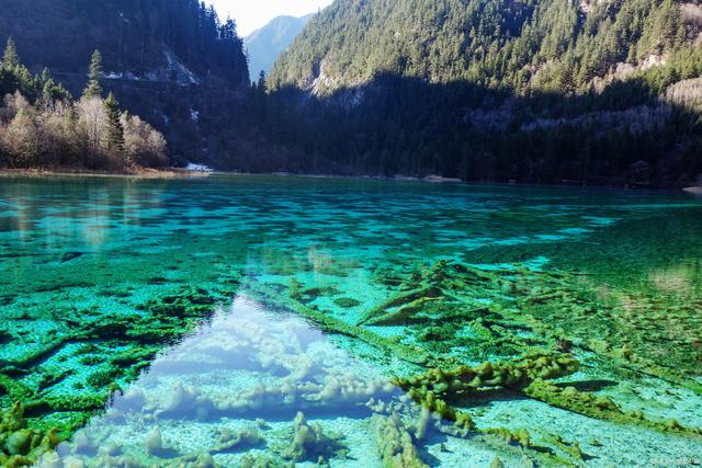 九寨沟旅游攻略及用度几何