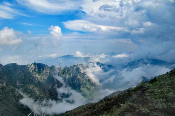 太白山国度丛林公园门票