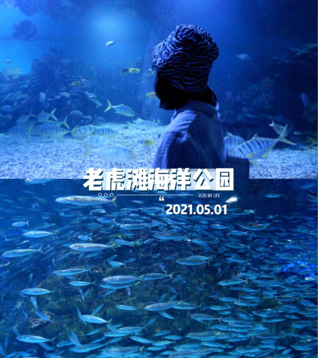 大连山君滩海洋公园门票