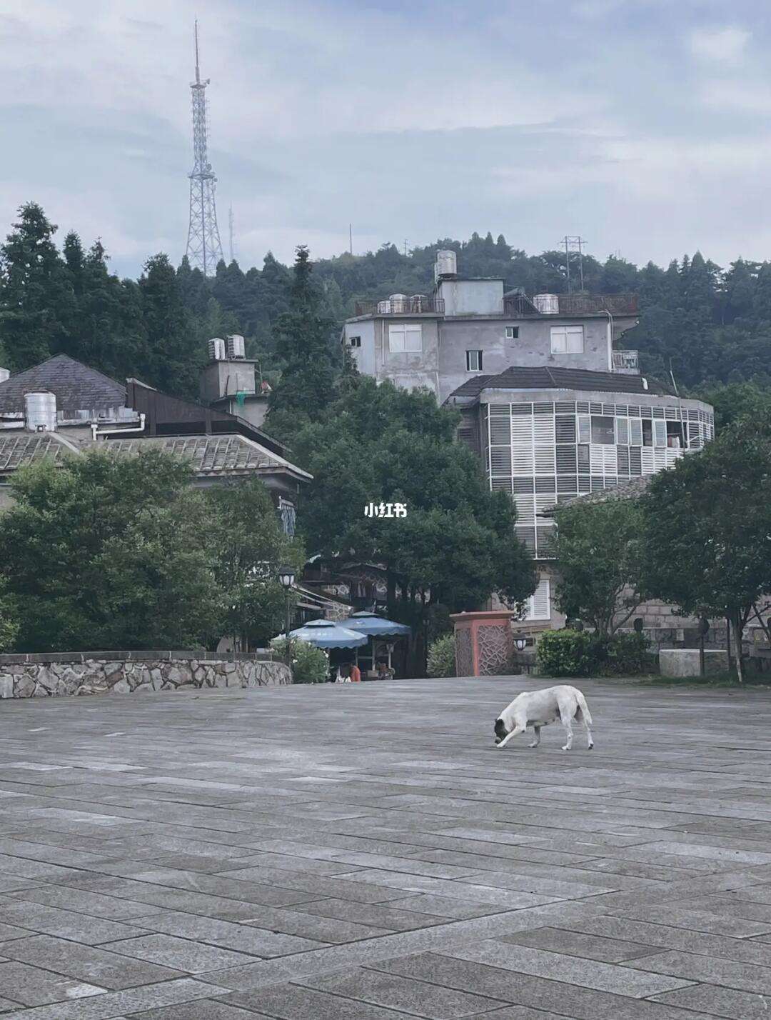 鼓岭攻略