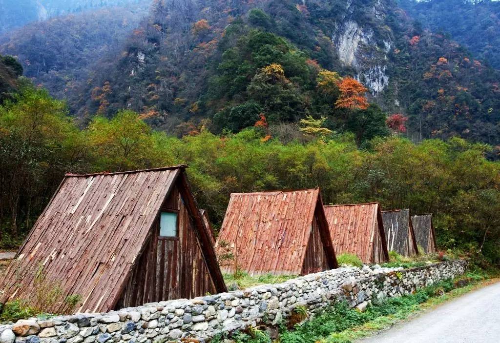 东拉山大峡谷景色区