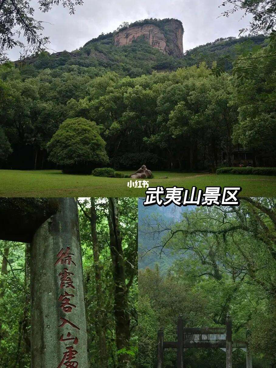 去武夷山玩攻略