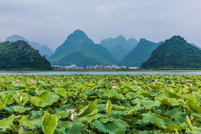 云南普者黑旅游攻略