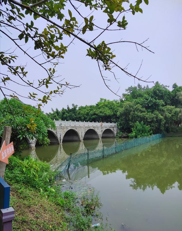 医生山丛林公园门票