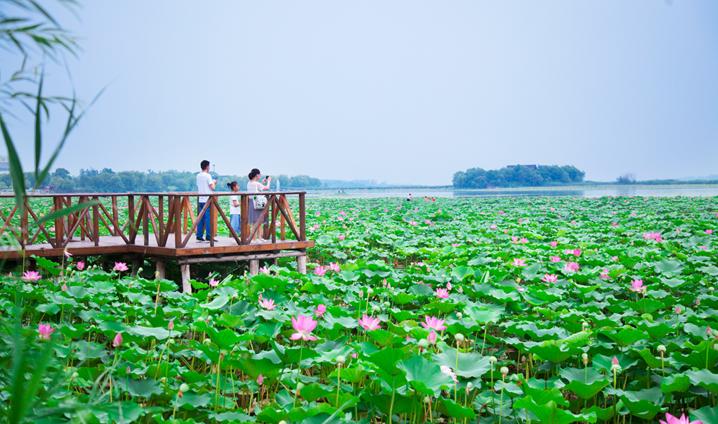 衡水湖门票