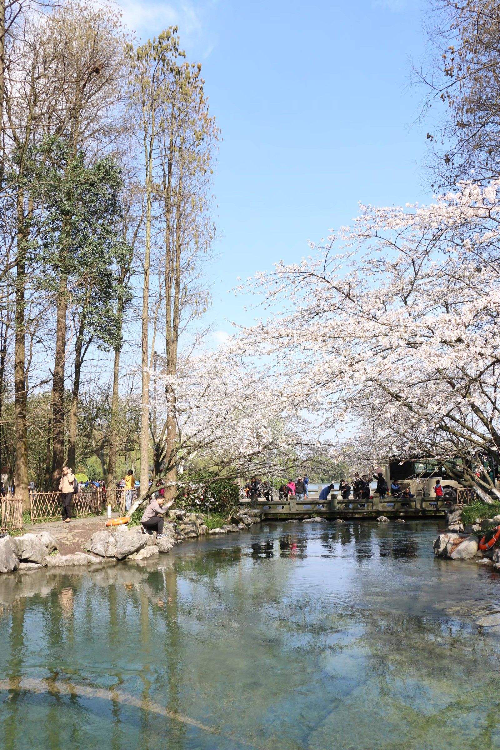 杭州太子湾公园门票