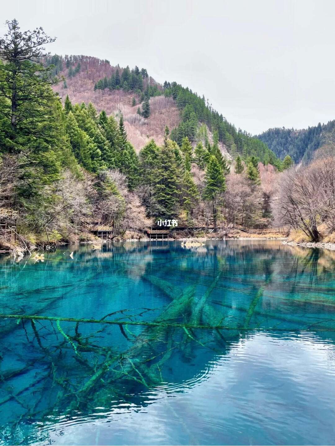 冬天九寨沟旅游攻略