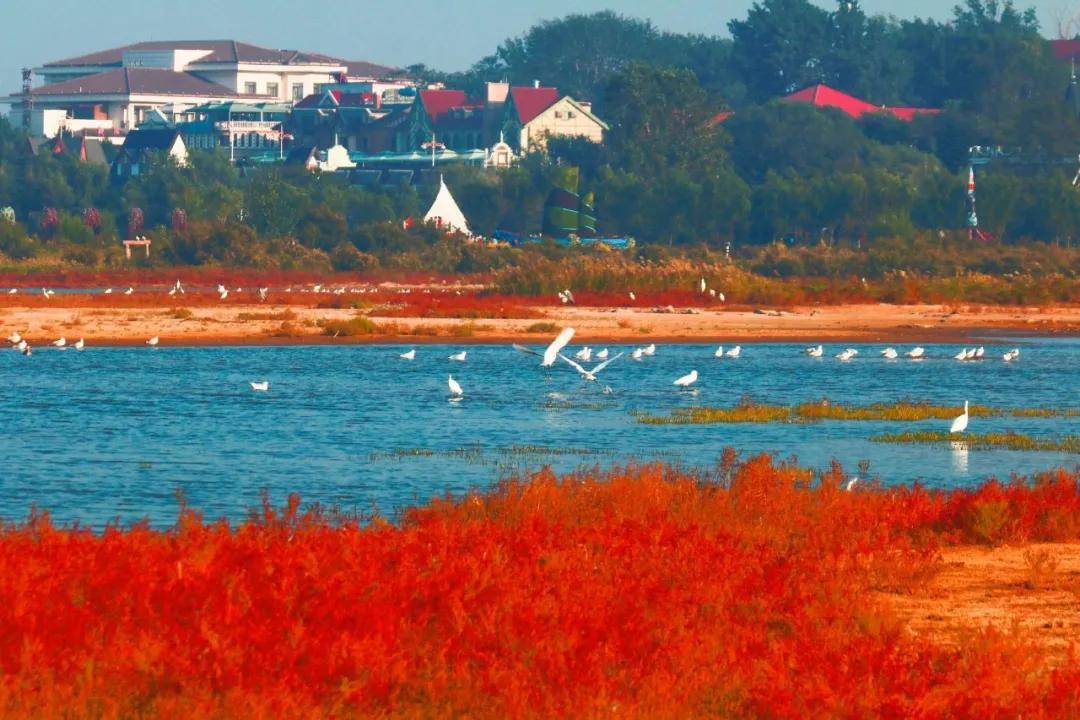 北戴河旅游攻略自助游