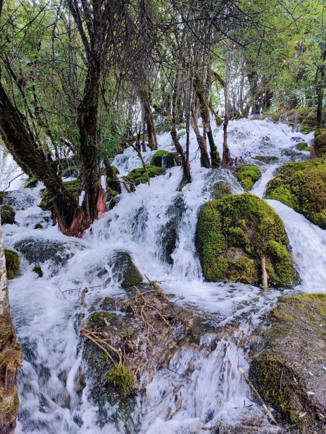 箭竹山水库