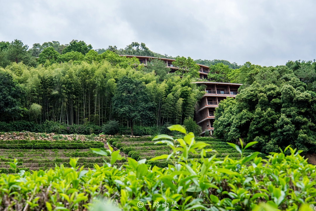 梅州雁南飞茶田度假村