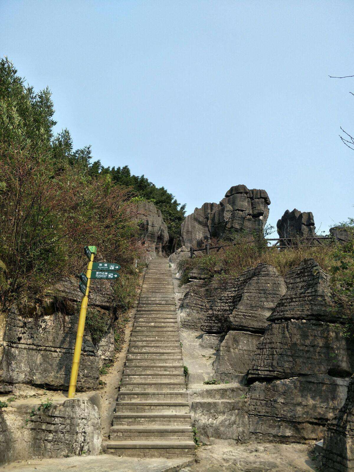 24年西部竹石林景区