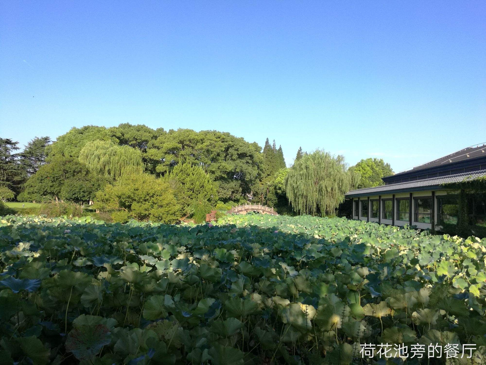 24年上海日月岛度假村