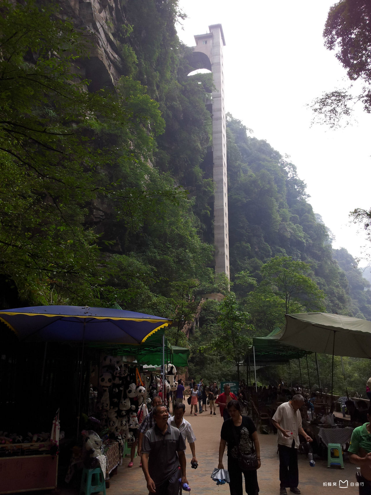 24年碧峰峡旅游