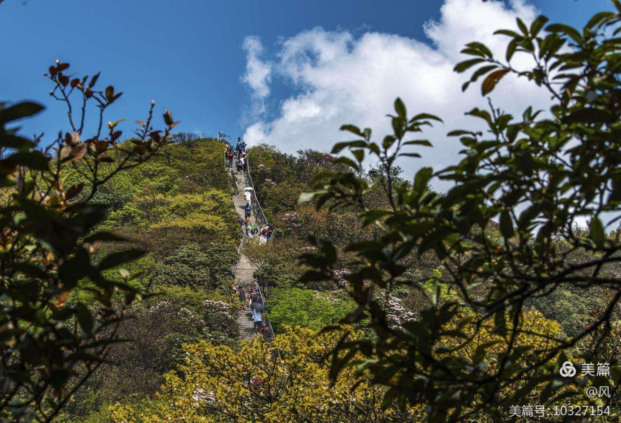 24年重庆到金佛山道路