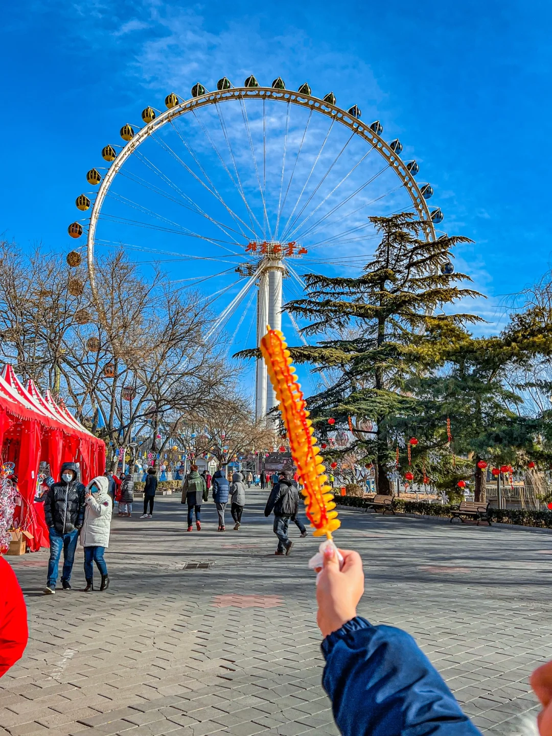 24年八角游乐土门票