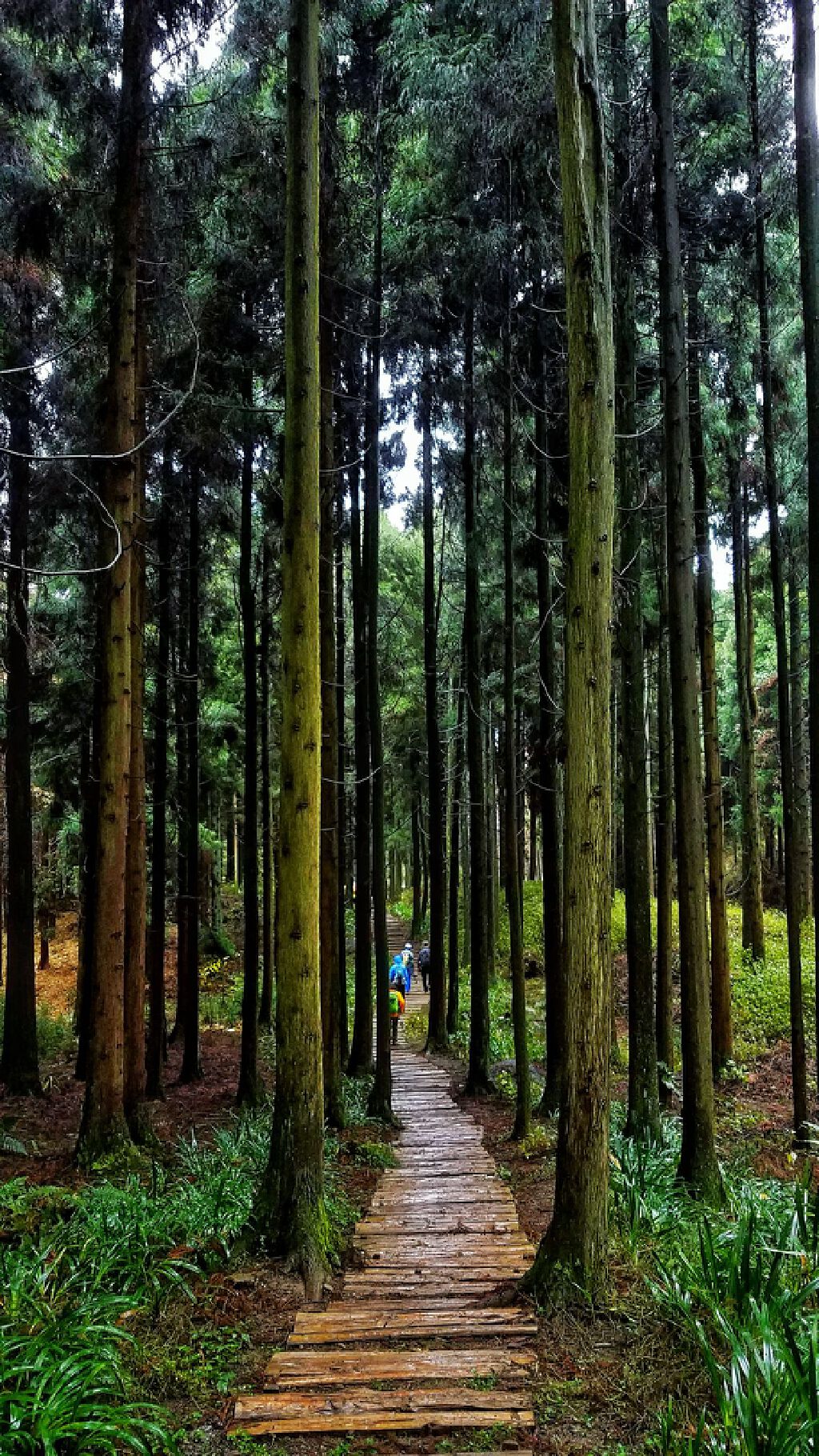 24年王坪景区