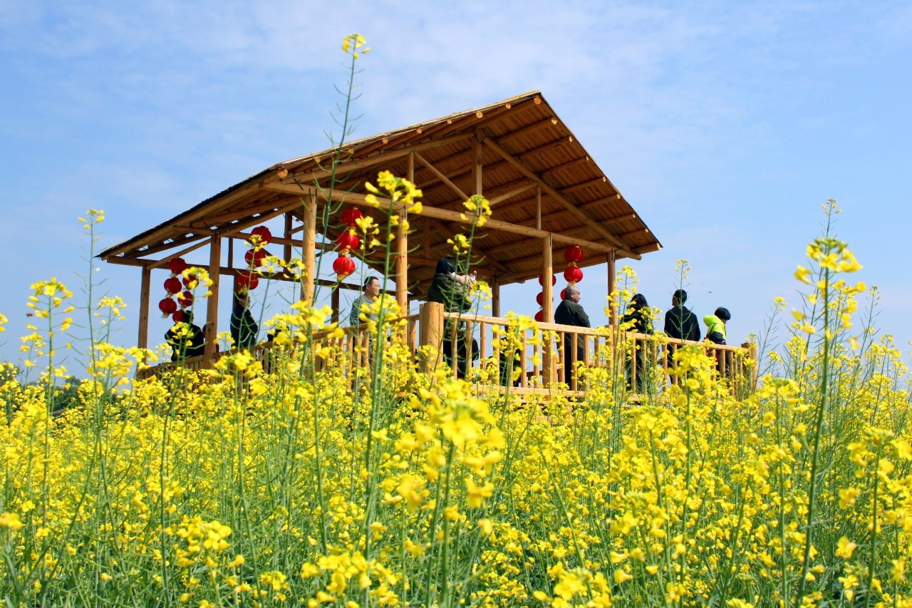 24年泰康山生态旅游区