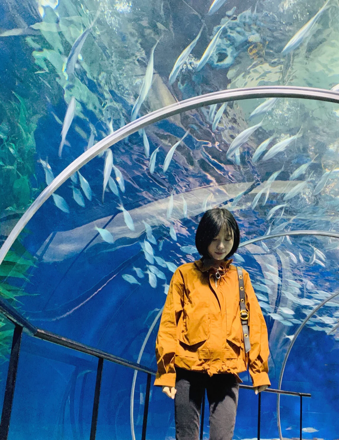 24年上海水族馆门票