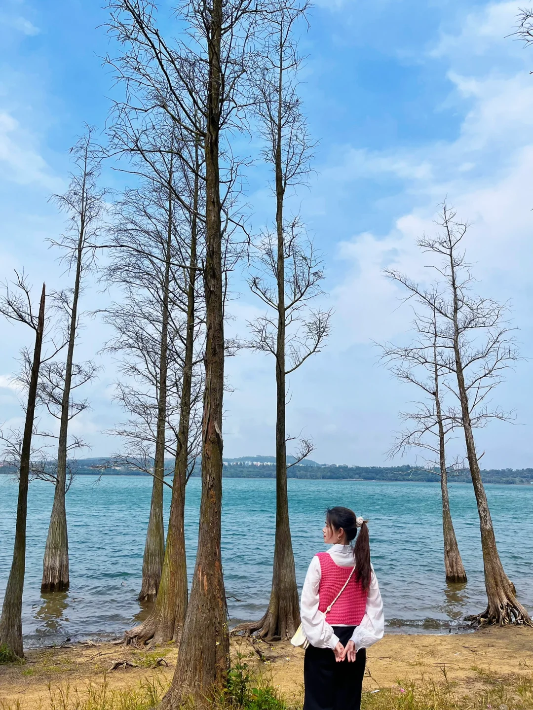 24年湖光岩门票