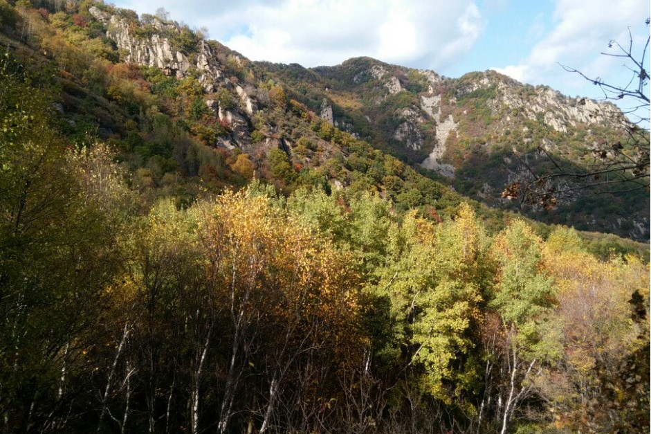 24年喇叭沟门原始森林风景区