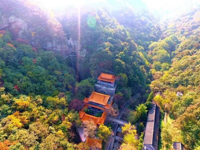 24年大夫景区救人获终身免门票