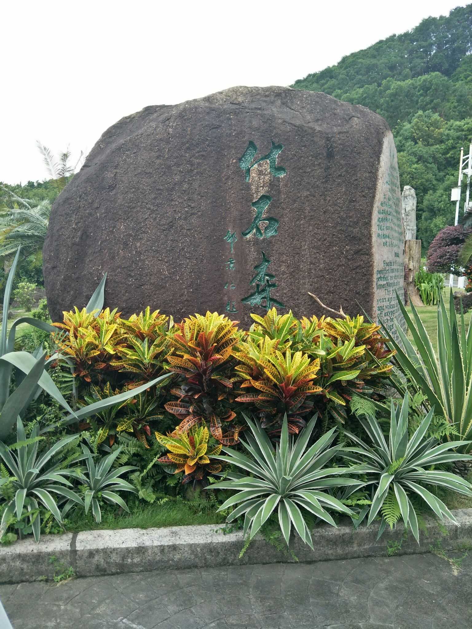 24年深圳仙湖植物园好玩吗