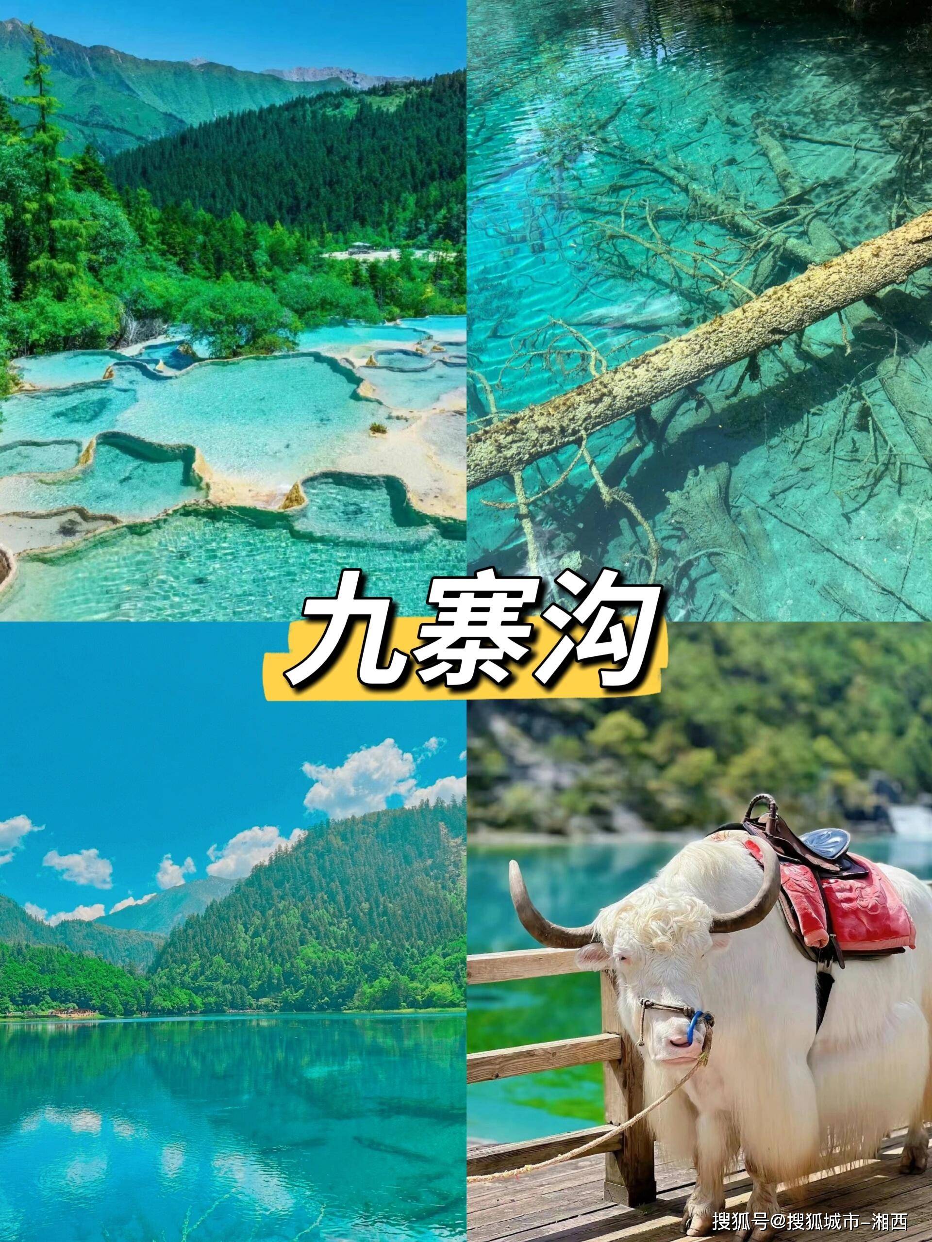 24年九寨沟旅游心得