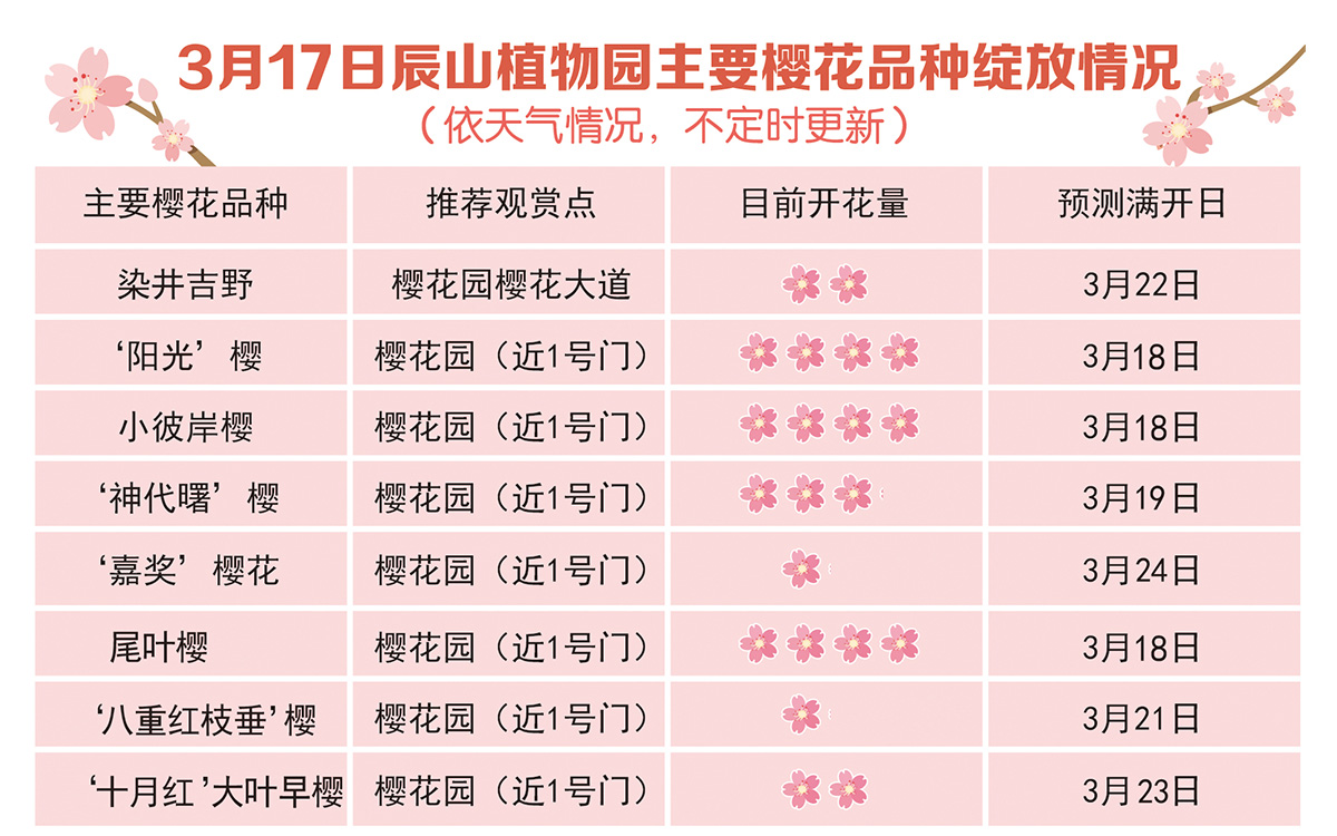 24年辰山植物园门票