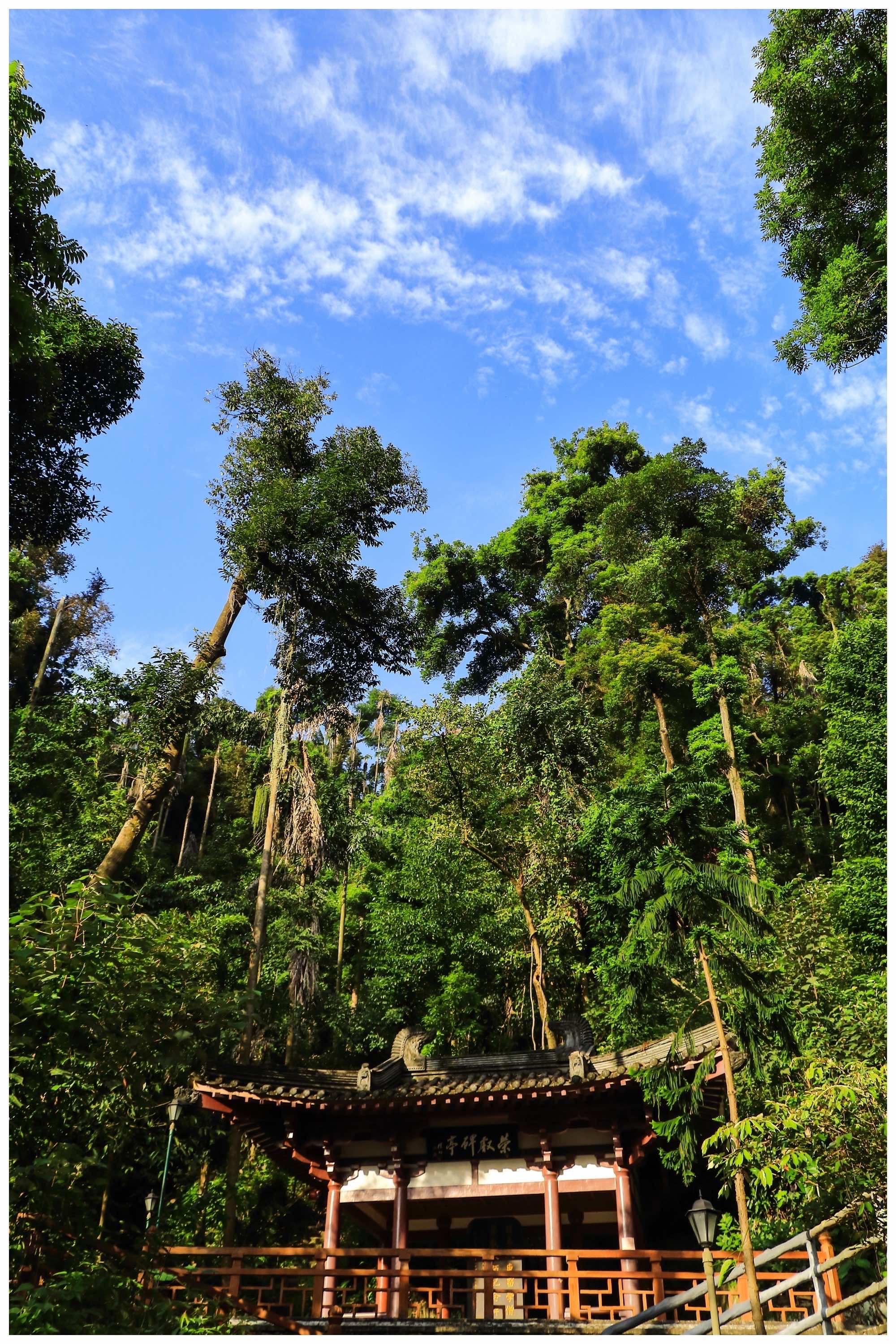 24年鼎湖山旅游