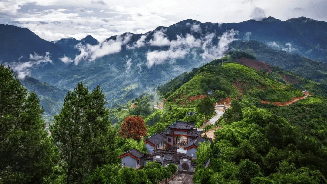 24年5月19日旅游日免费景点