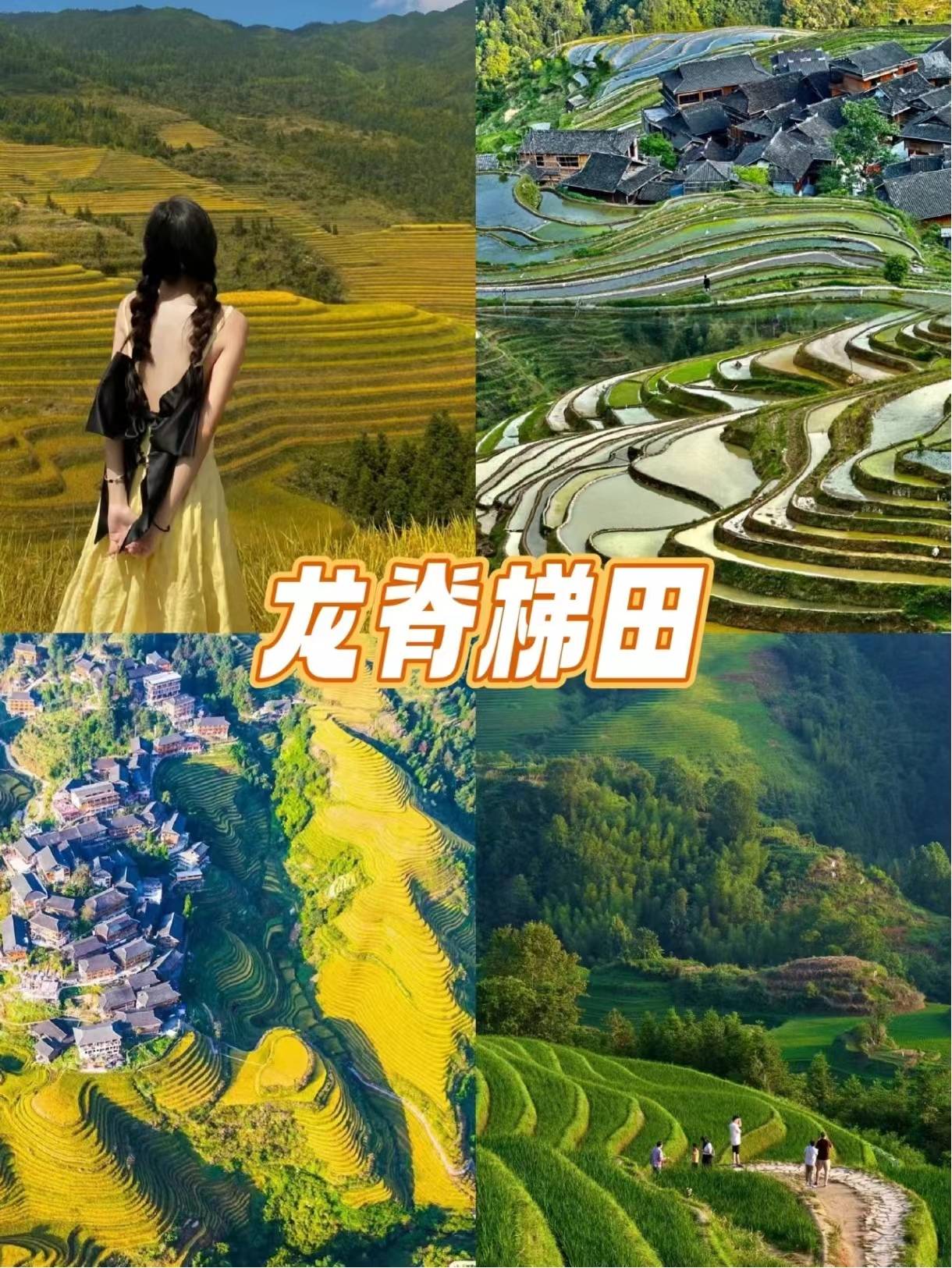 24年桂林旅游价钱